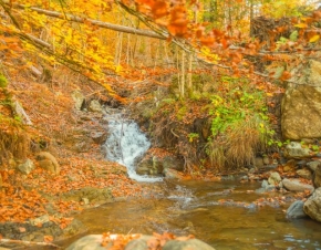 Pindus National Park Valia Calda in Ioannina