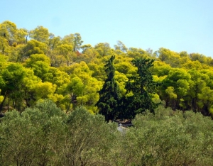 Σύντομη Ιστορία για το Αγκίστρι