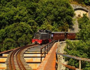 Pelion Train - &quot;Moutzouris&quot; in Magnesia