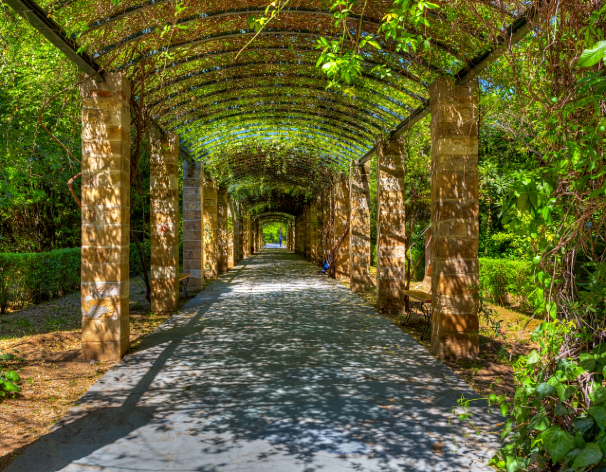 National Garden (Ethnikos Kipos) in Athens