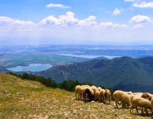 Λίγα λόγια για τη Φλώρινα