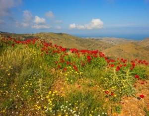 Σύντομη Ιστορία για τη Κέα