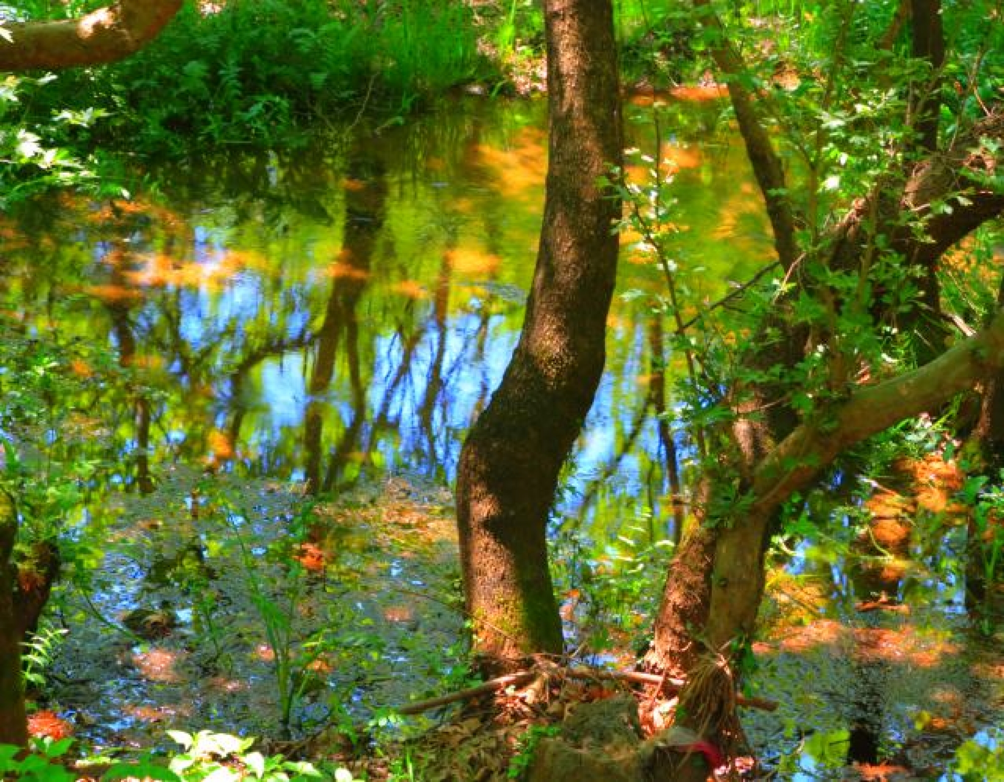 Arachthos river in Arta